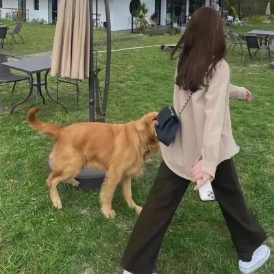 给我庇护