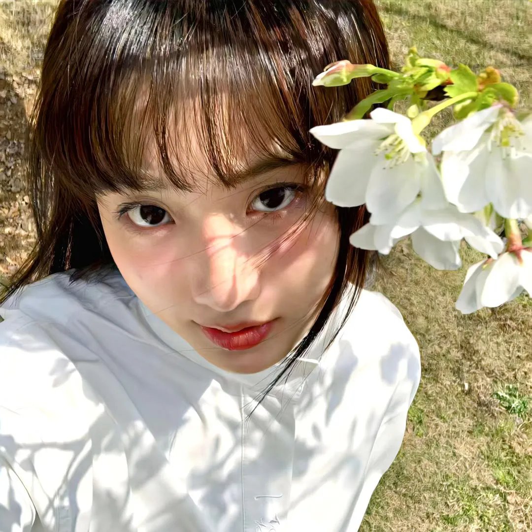 天使航班