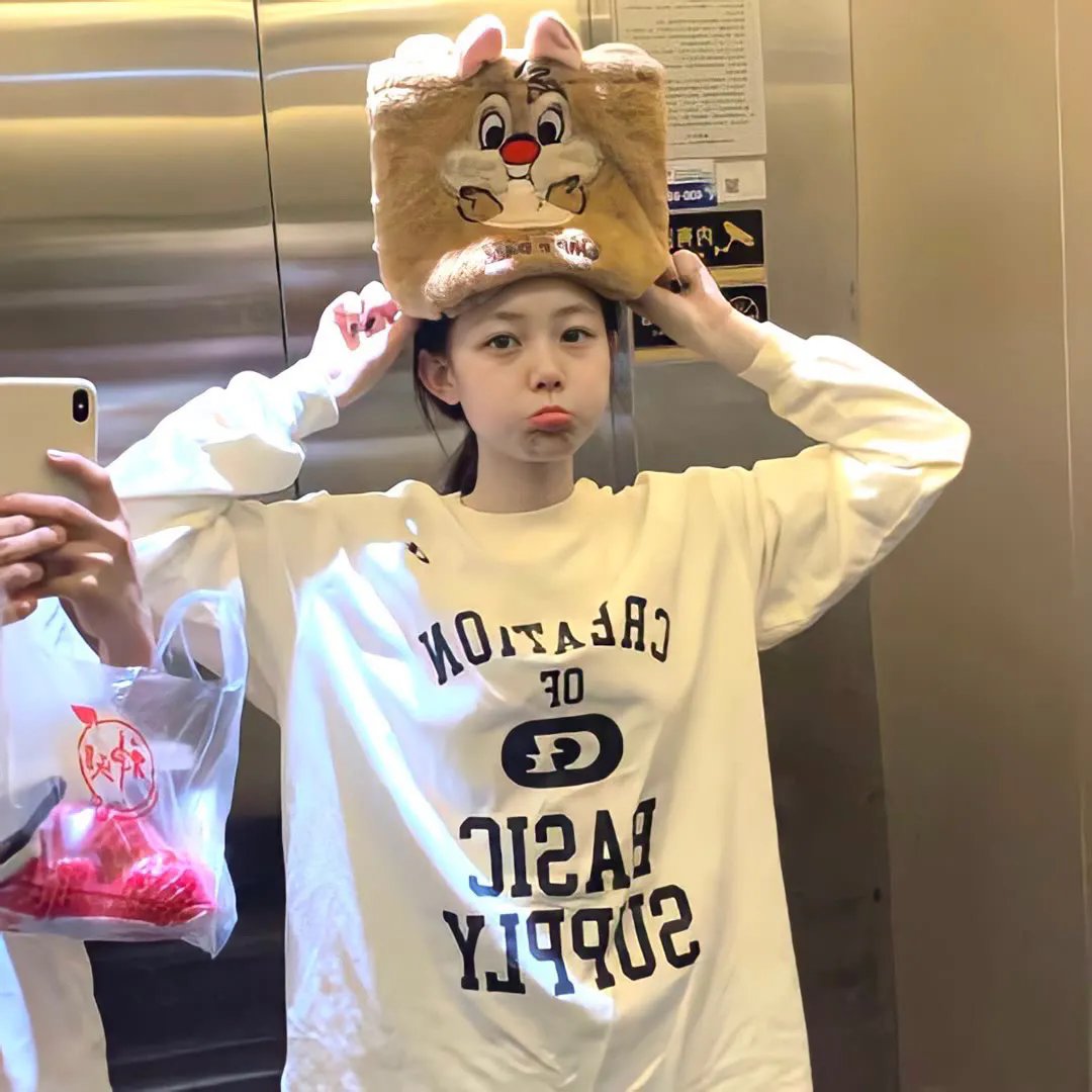 与鲨同游